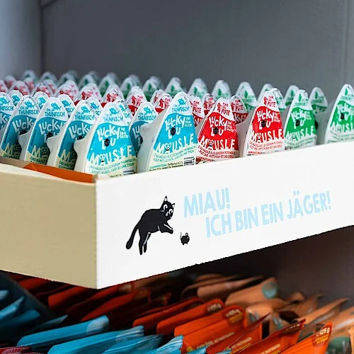 Leckeres Futter für Katzen