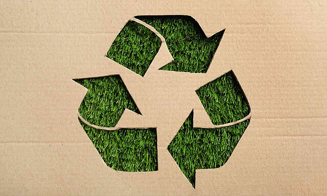 Sustainable packaging in the circular economy