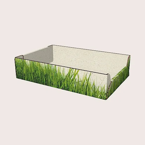 Tray made from grass corrugated cardboard