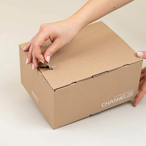 Secure packaging with tear perforation