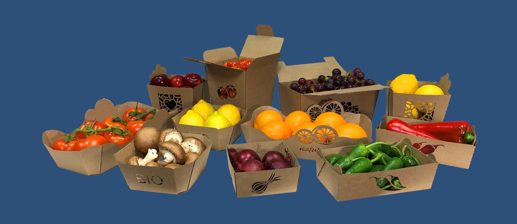 Sustainable boxes for food service and wholesale